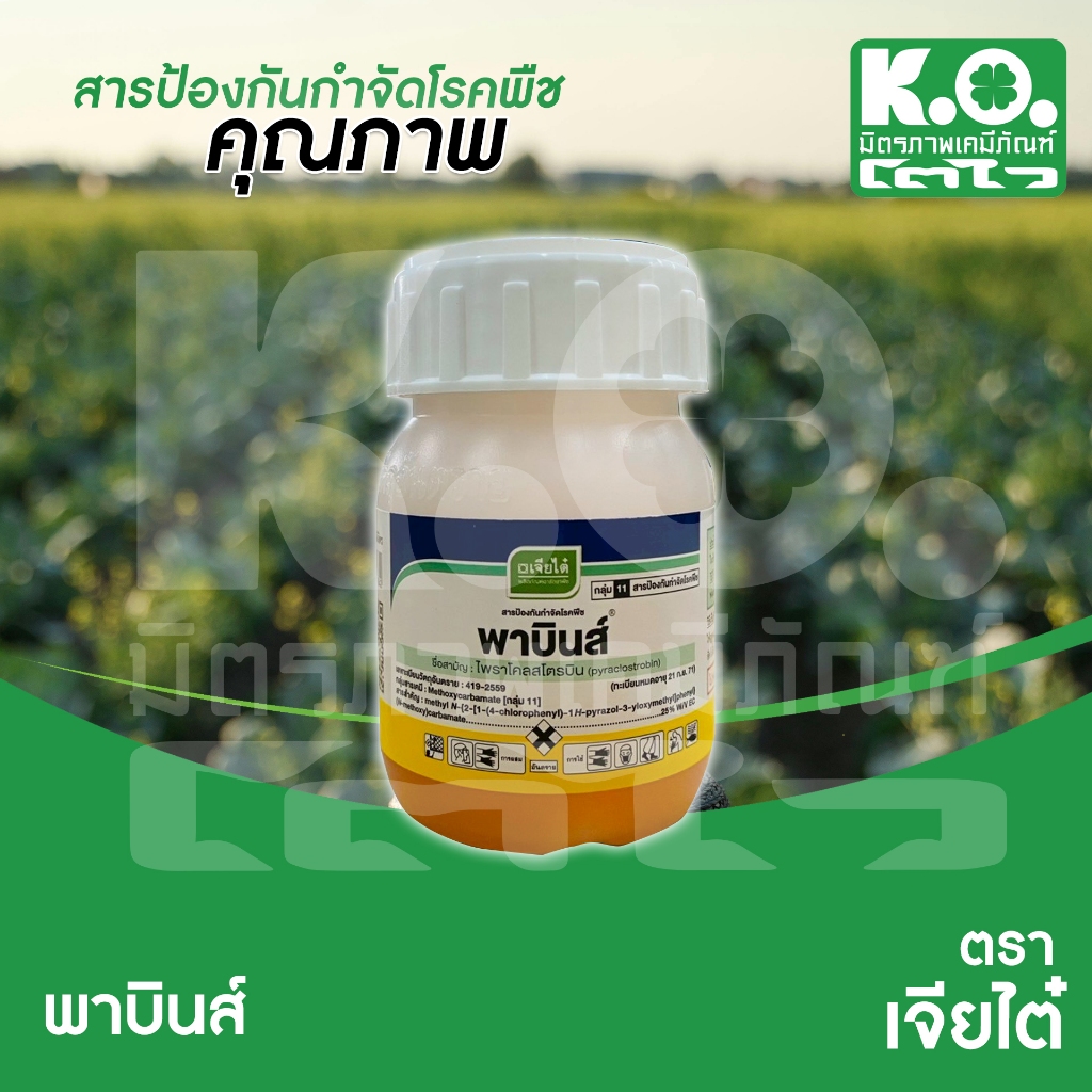 พาบินส์  ขนาด 100 มิลลิลิตร กำจัดเชื้อรา