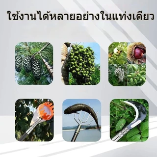【COD】ด้ามสวิง 4M/3M/2.1M สวิงยืดหดได้ สวิงตักปลา Carbon Dip Net Rod ใช้สำหรับดักปลา เก็บทุเรียน หรือเก็บผล ไม้ในสวน