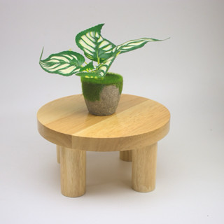 ขาตั้งกระถางต้นไม้แบบกลมขนาดเส้นผ่านศูนย์กลาง20cm สูง10cm หน…