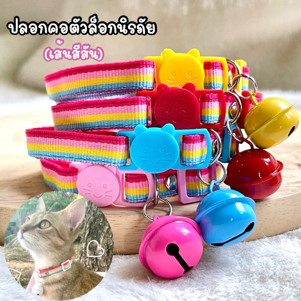 (สินค้าฟรี) ปลอกคอแมวตัวล็อกนิรภัย สีพาสเทลยกโหล