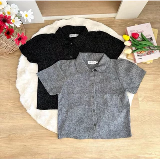 TweedTy shirt เสื้อทวิตตี้เชิ้ต-ซูการ์คอบัว