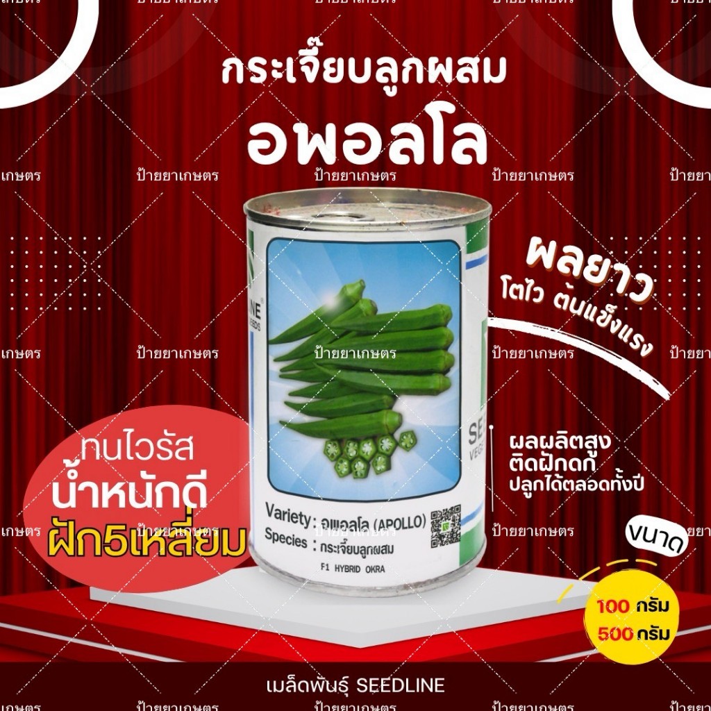 เมล็ดกระเจี๊ยบเขียว อพอลโล F1 Apollo ฝักสีเข้ม 5เหลี่ยม