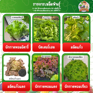 เมล็ดผัก ปลูกแบบไฮโดรโปรนิกส์ โตเร็วแข็งแรง ขนาด 1 กรัม