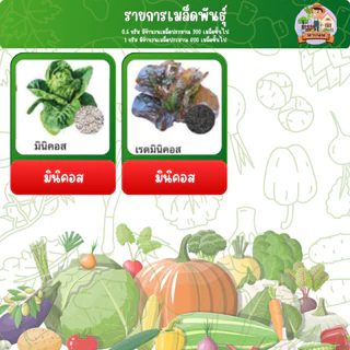 เมล็ดผัก ปลูกแบบไฮโดรโปรนิกส์ โตเร็วแข็งแรง ขนาด 1 กรัม