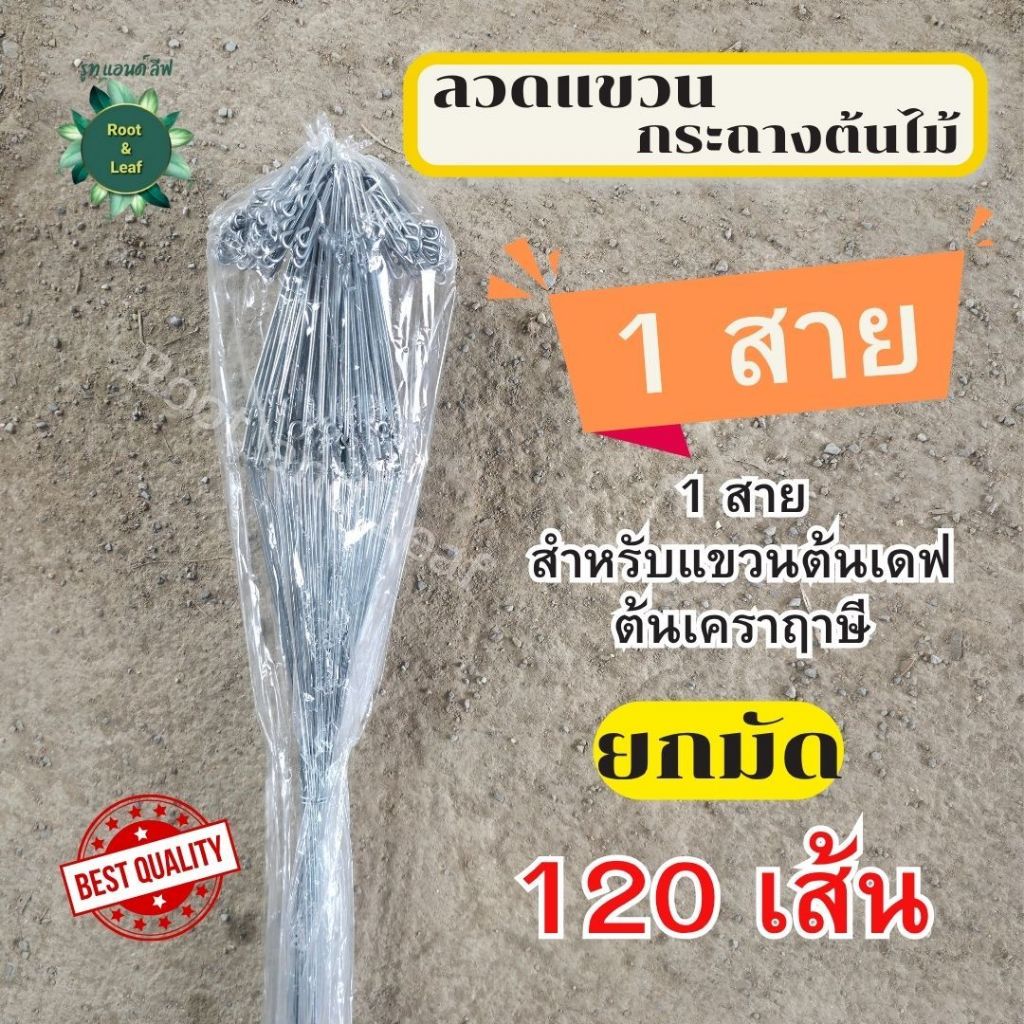 ลวดแขวนกระถางต้นไม้ 1 สาย แบบยกมัด จำนวน 120 เส้น ลวดอย่างดี แข็งแรงทนทานลวดแขวนกระถาง แขวนกระเช้า คุณภาพเกรดดี