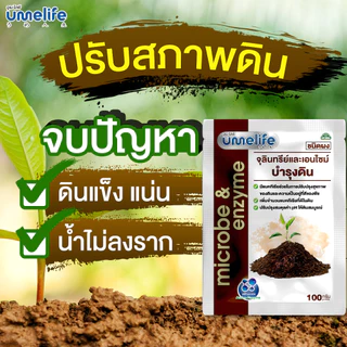 ปรับสภาพดินให้ร่วนซุย แก้ดินแข็ง ดินแน่น ฟื้นฟูดิน จุลินทรีย์บำรุงดิน อูเมะไลฟ์ บำรุงดิน 100 กรัม.