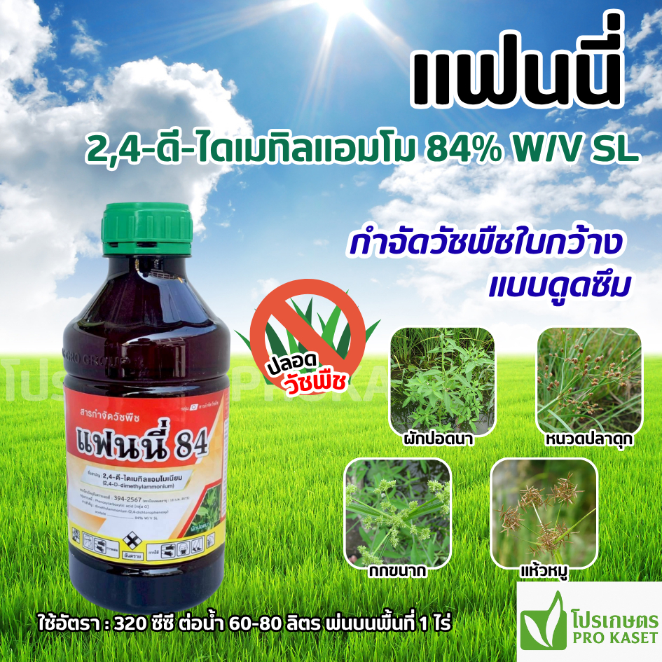 แฟนนี่ (2,4-ดี ไดเมทิลแอมโมเนียม) 1 ลิตร  กลิ่นไม่ฉุน  กำจัดวัชพืชใบกว้างแบบดูดซึม ​​ผักปอดนา เทียนนา โสนหางไก่ หนวดปลาด