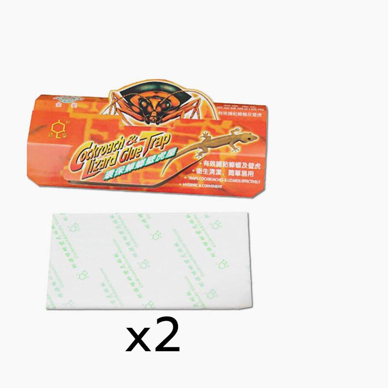 gecko trapใหญ่ที่สุด กาวดักจิ้งจก กาวดักแมลงสาบ บ้านจิ้งจก กําจัดจิ้งจก ที่ดักแมลงสาบ ปลอดภัยและปลอด