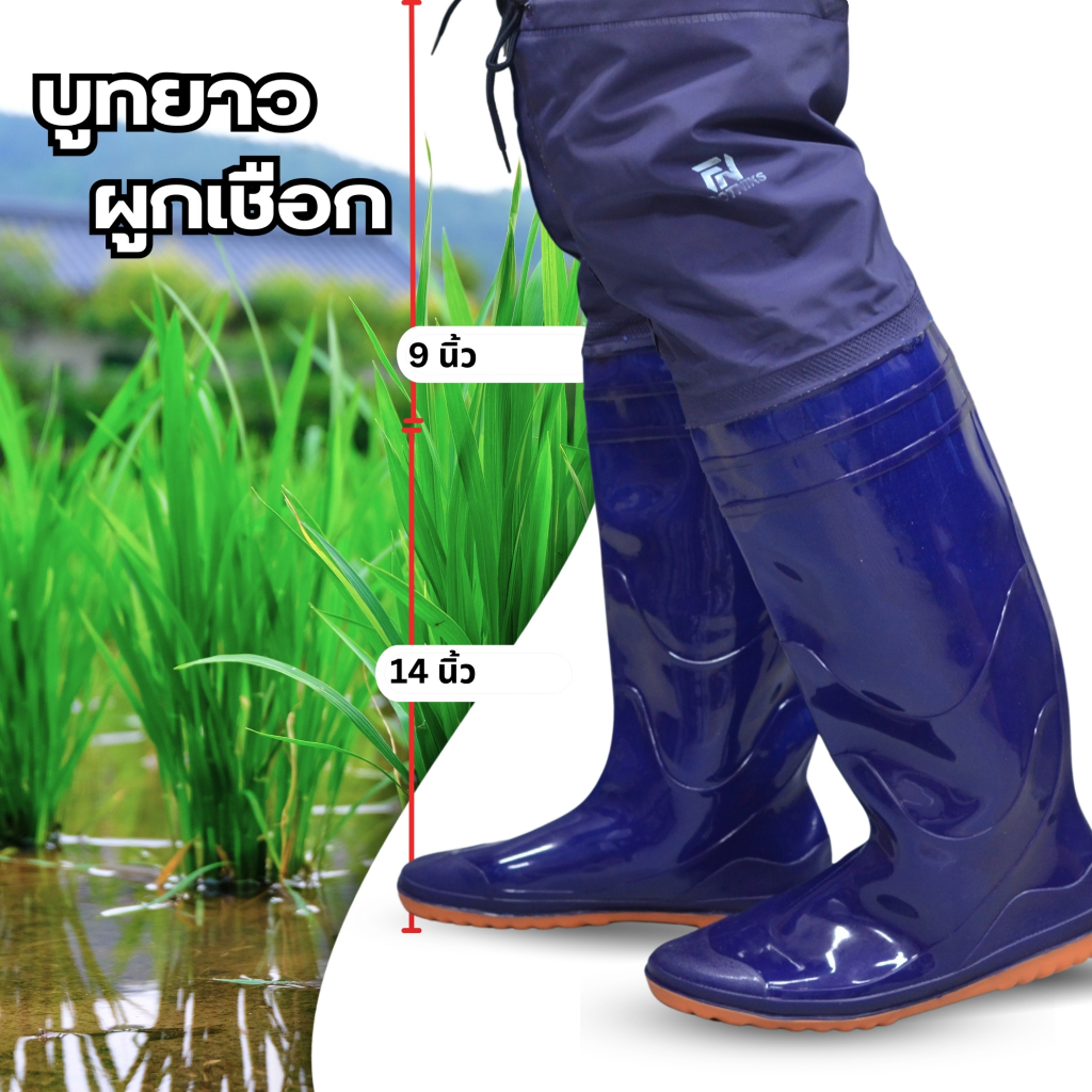 รูปภาพ 5