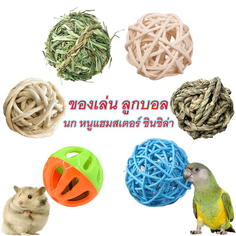 coralcoveshop ของเล่นนกแก้ว ลูกบอล ของเล่นสำหรับกัดแทะ ของใช้สำหรับนก แมว หนูแฮมสเตอร์ ชินชิล่า