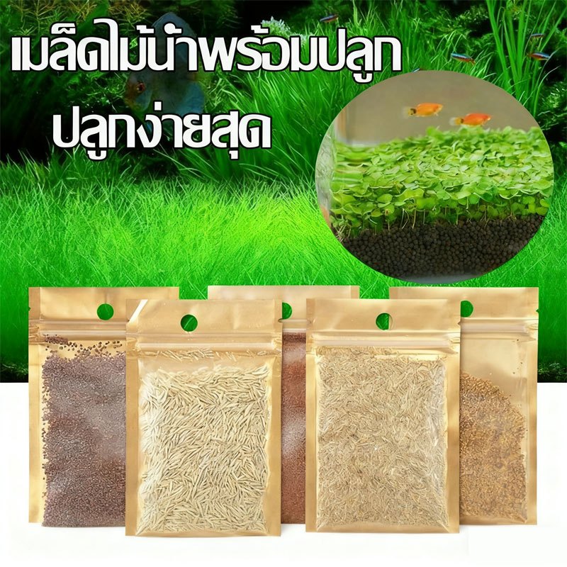 เมล็ดไม้น้ำ หญ้าไม้น้ำ ดินปลูกไม้น้ำ เมล็ดพันธุ์ไม้น้ำ ปลูกตกแต่งตู้ปลา เลี้ยงปลา