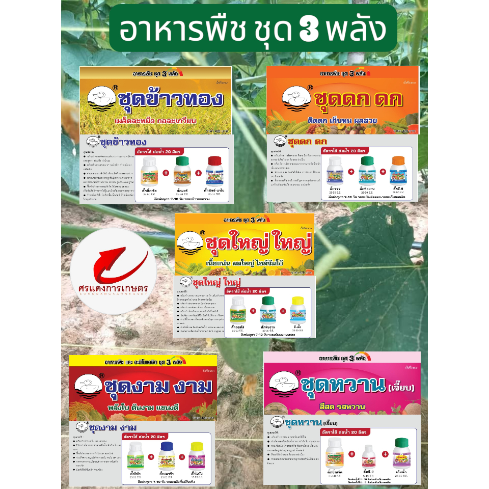 อาหารพืช ชุด 3 พลัง ช่วยดก ยาว บำรุงข้าว ช่วยหวาน ทำให้ใหญ่ ลงหัว พืชงาม ปรับสภาพอากาศ
