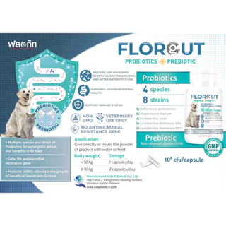 FLORGUT (ฟลอกัท) อาหารเสริมพรีไบโอติกและโพรไบโอติก ปรับสมดุลลำไส้ ลดปัญหาท้องเสีย สำหรับในสุนัขและแมว 30 แคปซูล