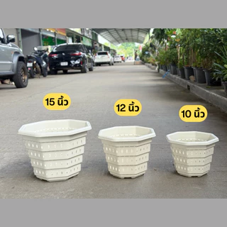 ‼️ถูก และหนา‼️ กระถางต้นไม้พลาสติก Air Pot ขนาด 10-15 นิ้ว เร่งราก