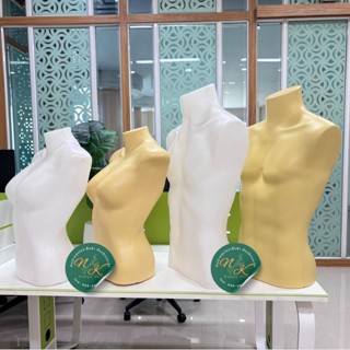 NKหุ่นโชว์เสื้อผ้า ตั้งโต๊ะผู้ชาย/ผู้หญิง สีใส/สีครีม