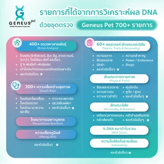 Geneus Pet | Dog DNA ตรวจ DNA สุนัข สายพันธุ์ สุขภาพ พรสวรรค์ นิสัย ภูมิแพ้ โภชนาการอาหาร | 1 กล่อง