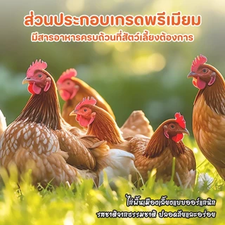 TUBIเนื้อไก่สับสำหรับแมว ผสมคาเทนนิป&นม เพิ่มน้ำมันปลา กินได้ทันที ไม่ต้องอุ่น - อาหารเม็ดเลือกยาก ให้อาหารเปียกคุณภาพสู
