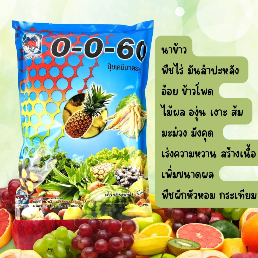 ปุ๋ยเกล็ด สูตร 0-0-60 ตรากระทิงลูกโลก ฃระยะบำรุงหัวเพิ่มขนาด สร้างแป้ง ละลายน้ำฉีดพ่นทางใบ 1Kg.