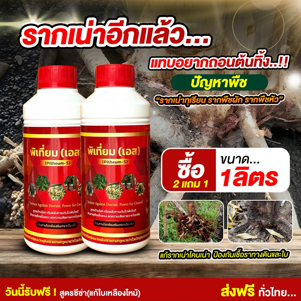 พิเที่ยมเอส สูตรแก้รากเน่าโคนเน่าใบไหม้ใบจุด พิเที่ยมเอส+ซีซ่า ชุดคู่เสริมพลังพืชแข็งแรง ต้านโรค