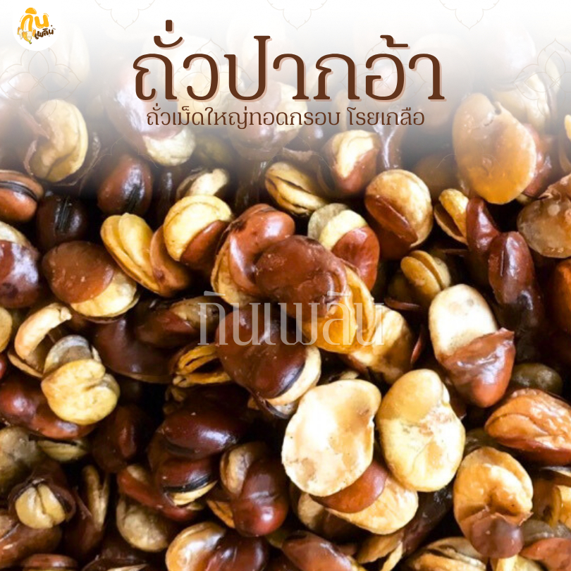 กินเพลิน✨รวม ถั่วปากอ้า ถั่วปากอ้าทอดเกลือ ถั่วปากอ้าอบเกลือ