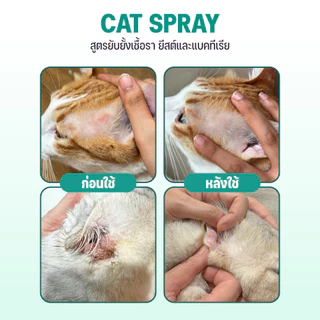 Goodboss Cat Spray สเปรย์สำหรับเเมว ลดเชื้อรา ยีสต์ เเบคทีเรีย อาการคัน ขนร่วง สกัดจากธรรมชาติ