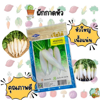 หัวไชเท้า CT/OP-057 ผักซอง เจียไต๋ ผักกาดหัว เมล็ดพันธุ์ เมล…