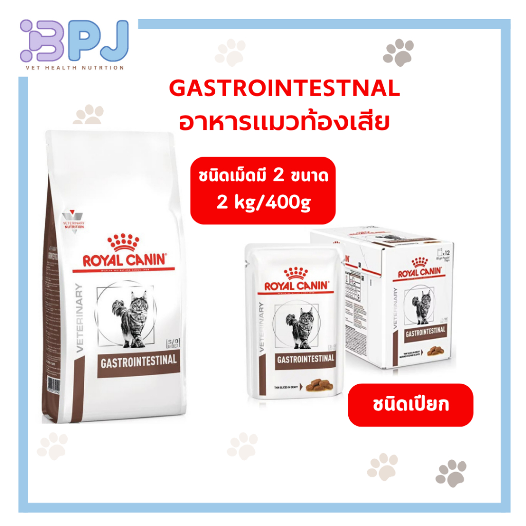 Royal Canin GASTROINTESTINAL อาหารสำหรับแมวท้องเสีย