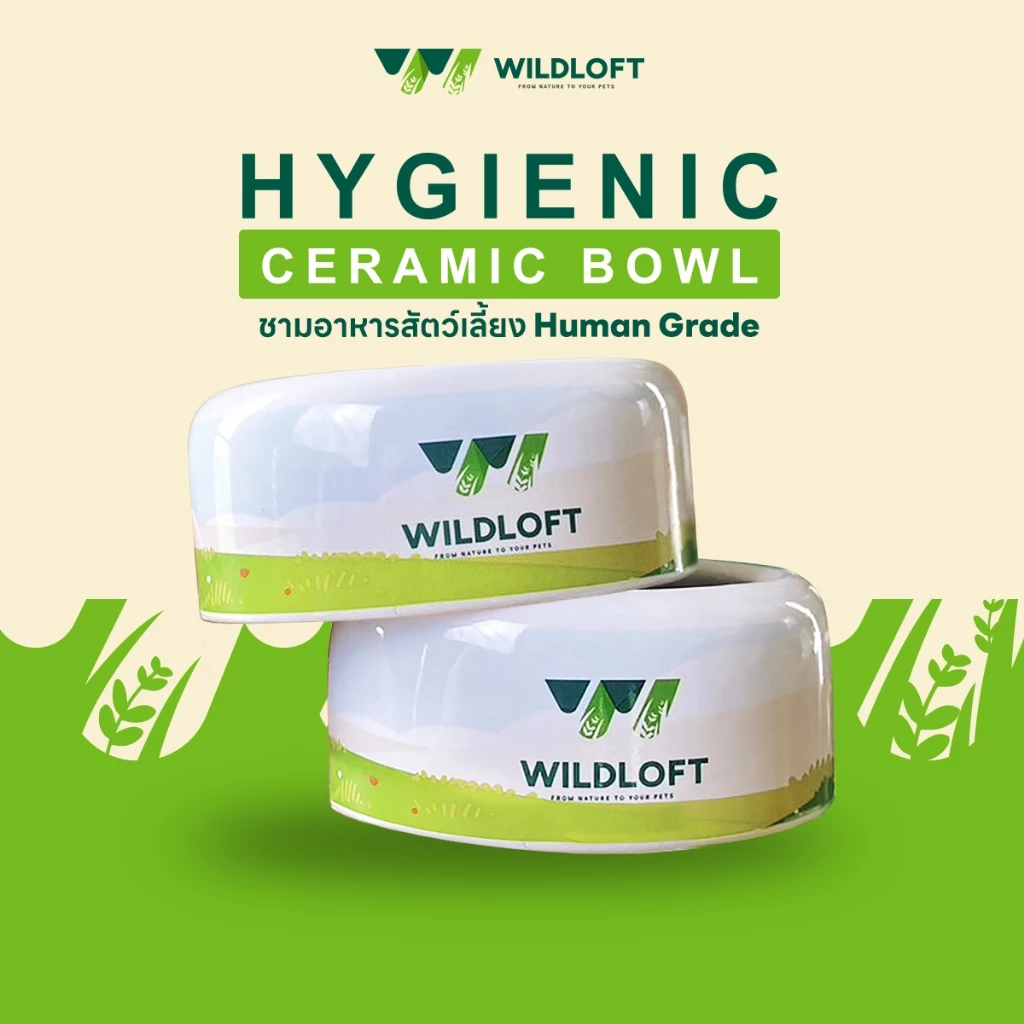 ชามอาหารสัตว์เล็ก Wildloft Hygienic Ceramic Bowl | ทำความสะอาดง่าย | ปลอดภัยต่อสัตว์เลี้ยง
