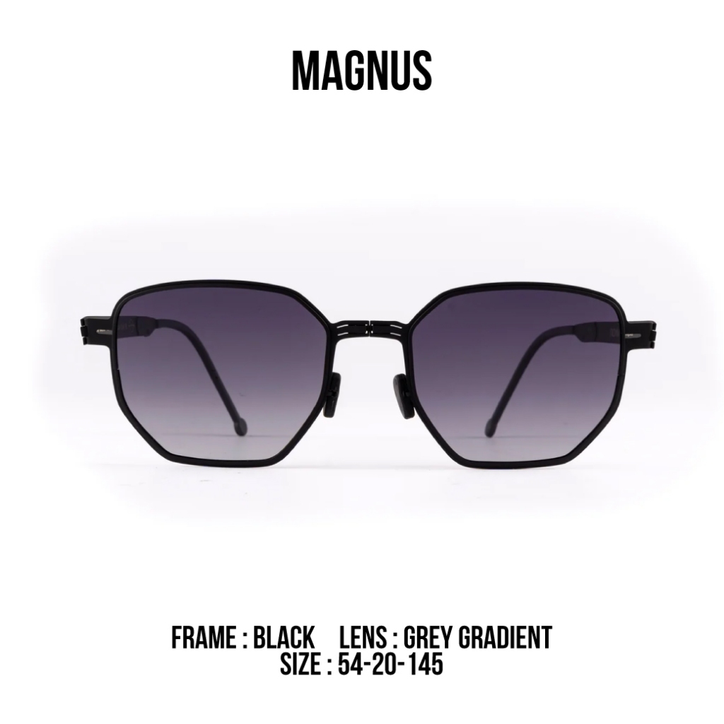ROAV نظارة شمسية قابلة للطي MAGNUS مستقطبة — صورة 4