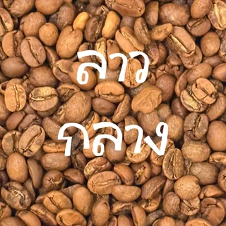 บดฟรี - ลาว โบลาเวน อาราบิก้า