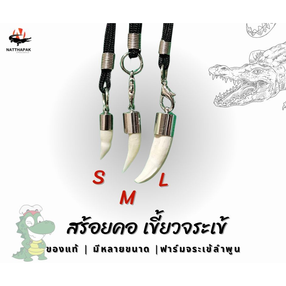 สร้อยคอเขี้ยวจระเข้ ของแท้ จากฟาร์มจระเข้ลำพูน