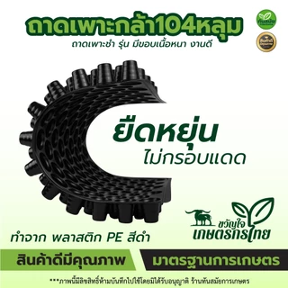 ถาดเพาะกล้า 104หลุม (แพ็ค5ใบ) ถาดเพาะเมล็ดกะท่อม เพาะเมล็ดกะท่อม ถาดพลาสติก ถาดเพาะต้นอ่อน