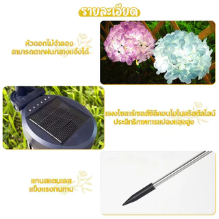 ไฟโซล่าเซลล์รูปดอกไม้ LED ไฟกลางคืนดอกไม้จำลอง ดอกไฮเดรนเยีย ไฟตกแต่งลานสวน ดอกวิสทีเรียเทียม โคมไฟดอกไม้ กันน้ำIP65
