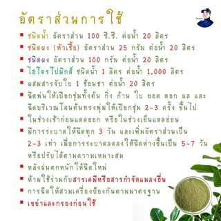ไตรโคเดอร์มา Gongza กำจัดเชื้อรา รากเน่า โคนเน่า ไฟทอปธอรา แอนแทรคโนส ชีวภัณฑ์เกษตรอินทรีย์ ปลอดภัยต่อคน สัตว์เลี้ยง โลก