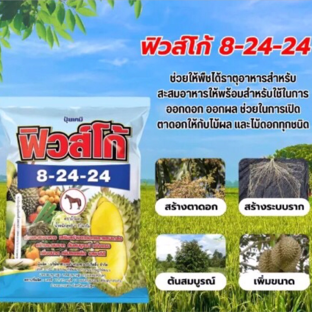 ปุ๋ยเกล็ดฟิวส์โก้ 8-24-24(1กก.)