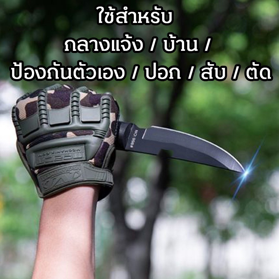 Thumbnail 9