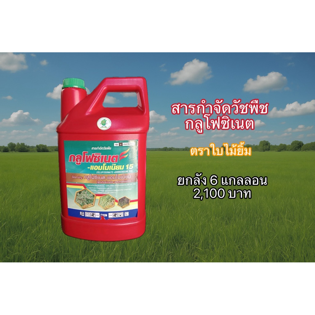 ยาฆ่าหญ้า กลูโฟซิเนต ตราใบไม้ยิ้ม 4 ลิตร 1 ลัง 6 แกลลอน