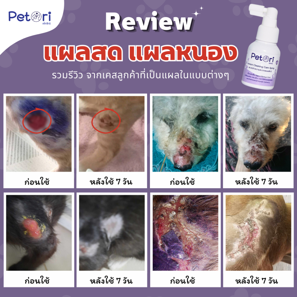 รูปภาพ 3