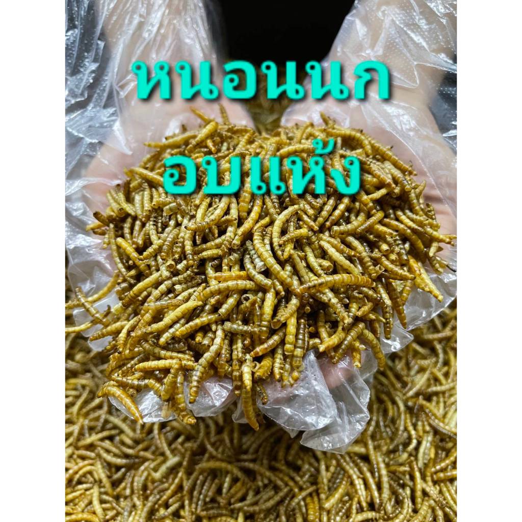 Dried Mealworms หนอนนก หนอนอบแห้ง