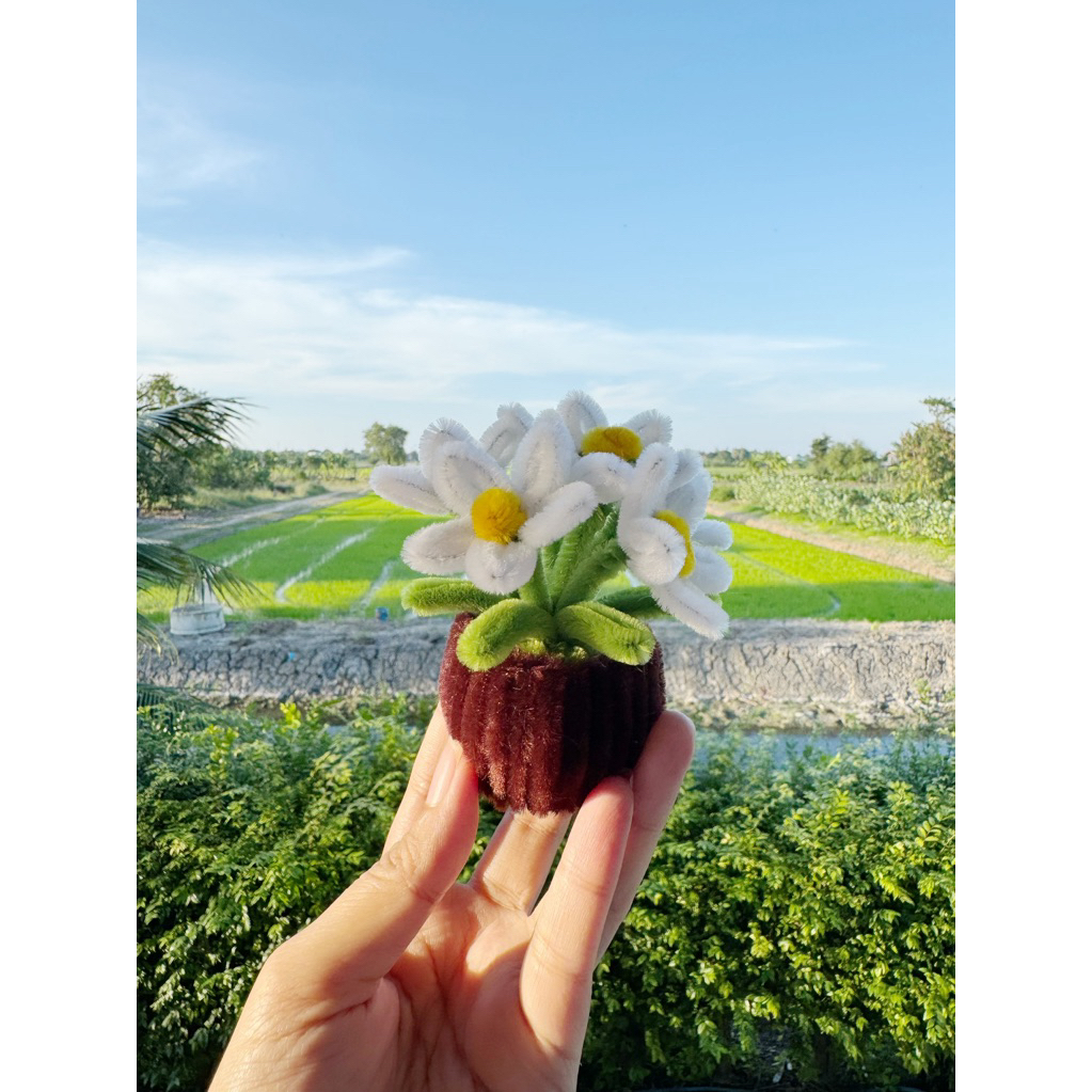 กระถางดอกไม้ 6 ดอก - ดอกไม้ลวดกำมะหยี่