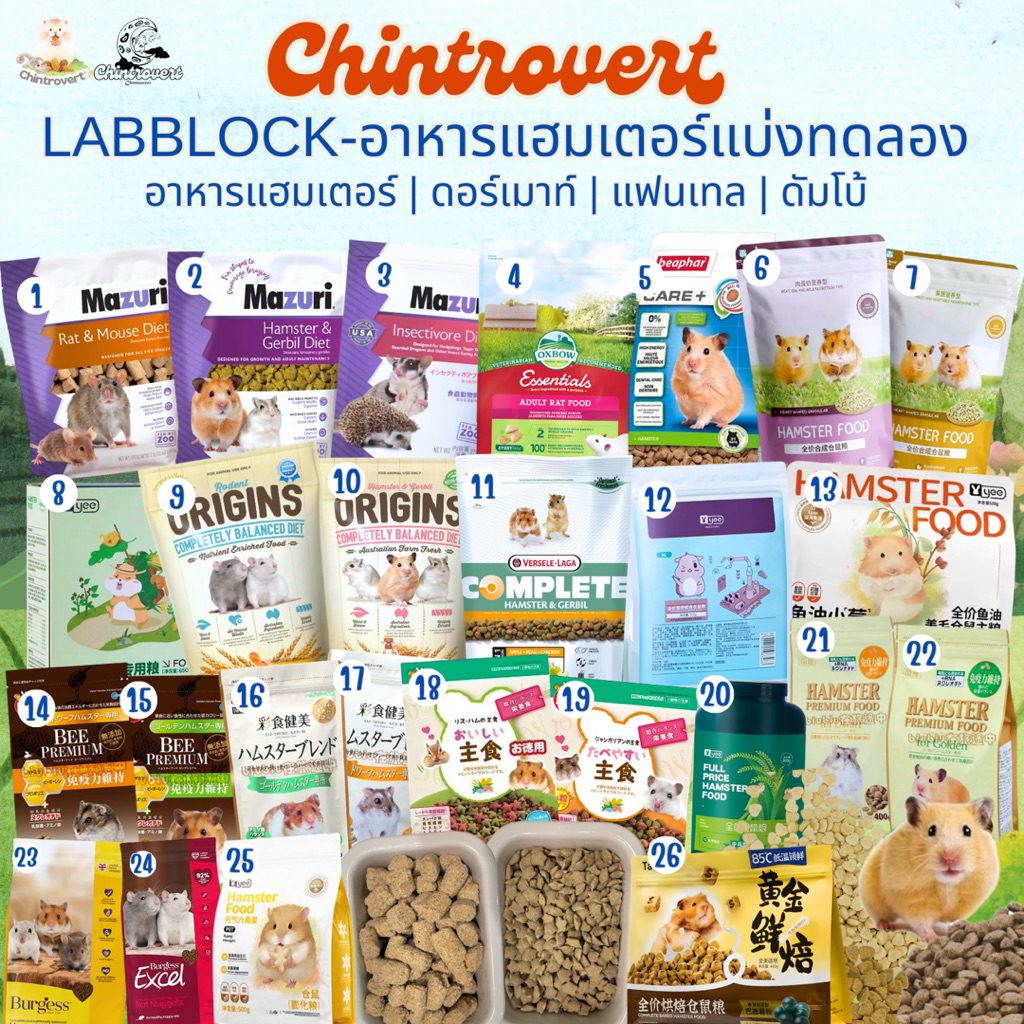 Chintrovert ✨| Labblock อาหารเม็ดยกถุง แบรนด์ดัง | แฮมเตอร์ แฟตเทล ดอร์เมาท์ ชูการ์ ดัมโบ้