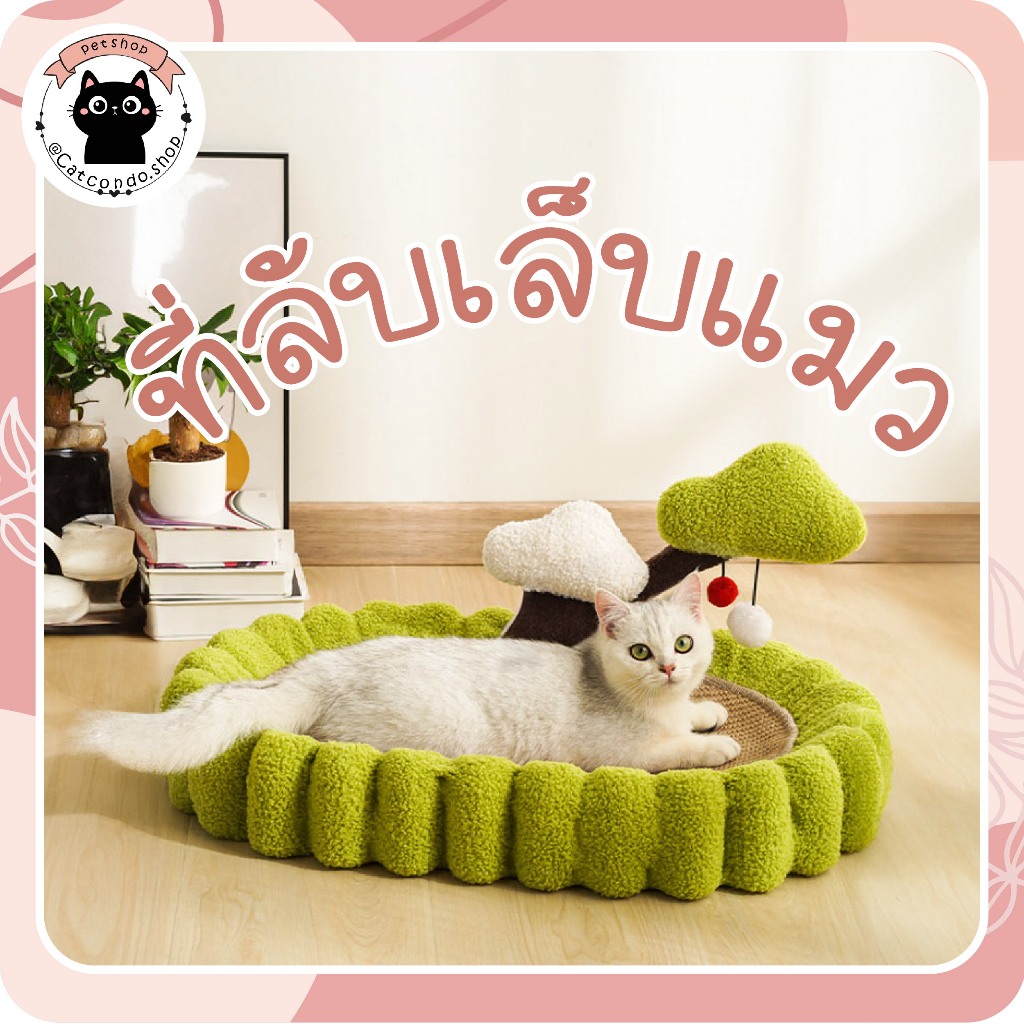 🌵 ต้นไม้1ต้น ที่ลับเล็บแมว กระดานลับเล็บ ลับเล็บแมว 3in1 ของเล่นแมว ขนาดใหญ่พิเศษ 65cm ทนต่อการสึกหรอ 🌵