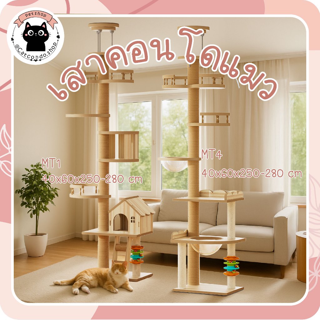 🌵 คอนโดแมวติดเพดาน แท่นเสาปีนป่าย เหมาะกับเพดาน คอนโดแมว เสาปีนป่าย เสาลับเล็บแมว เสาจัมโบ้ mt-4 mt-