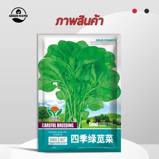 6000 เมล็ด เมล็ดผักโขมสีเขียว ทนร้อน โตไว สารอาหารสูง แท้ OP