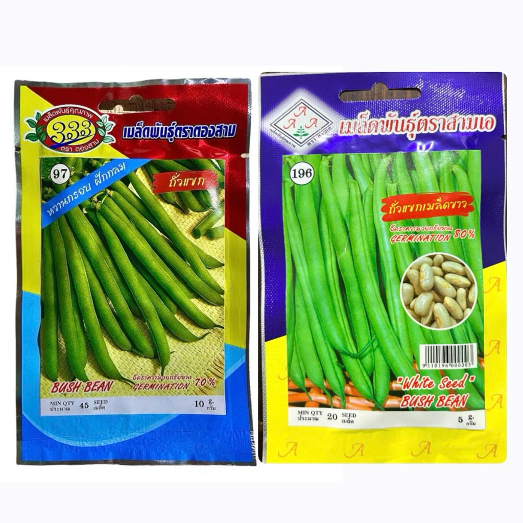 เมล็ด ถั่วแขก เมล็ดดำ,เมล็ดขาว ปลูกง่าย ดก