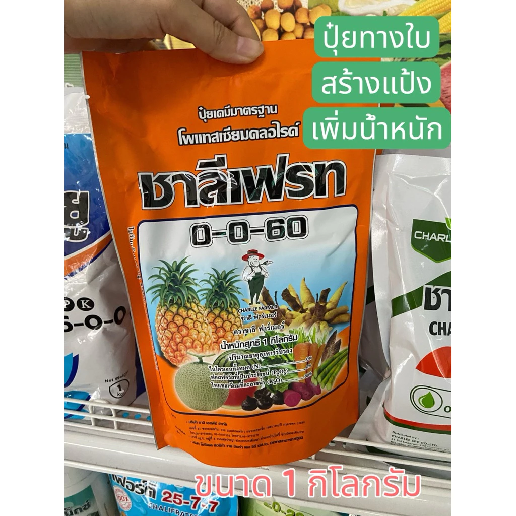 ปุ๋ยทางใบ 0-0-60 ชาลีเฟรท ปุ๋ยเกล็ด เพิ่มน้ำหนัก เนื้อฟู ละลายดี ของใหม่ โพแทสเซียมคลอไรด์