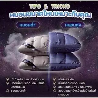 หมอนปรับสรีระ SALILA โปร 1 แถม 1 คุ้มสุดๆ มีให้เลือกทั้งหมอนสูงและต่ำ