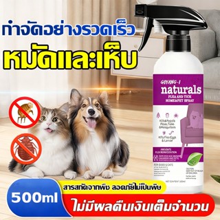 💯100% มีประสิทธิภาพ👍กำจัดเห็บและหมัด 500ml กำจัดหมัดหมา กำจั…