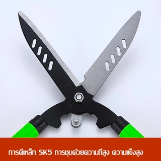 กรรไกรตัดหญ้า กรรไกรตัดแต่งพุ่มไม้ กรรไกรแต่งสวน กิ่งด้ามยาว ด้ามปรับยาวได้ ยืดได้ แต่งกิ่งยาว ตัดหญ้