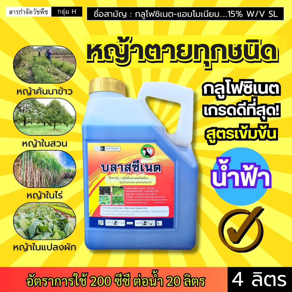บลาสซีเนต (กลูโฟซิเนต สูตรเข้มข้น) หญ้าตายทุกชนิด คันนา สวน ไร่ แปลงผัก : แกลลอน 4 ลิตร